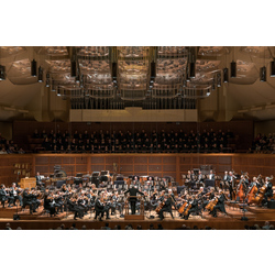 San Francisco Symphony Field Trip - CHAPERONE Registration Product Image