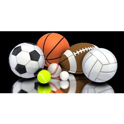 Athletic Intramural Sports Donation Product Image